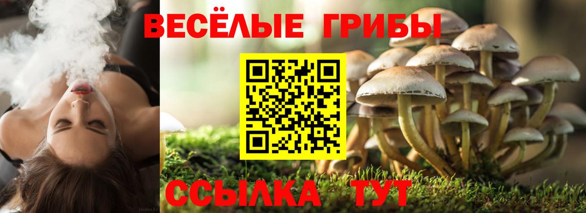 Сочи  Псилоцибиновые грибы Cubensis  Вход с VPN 
